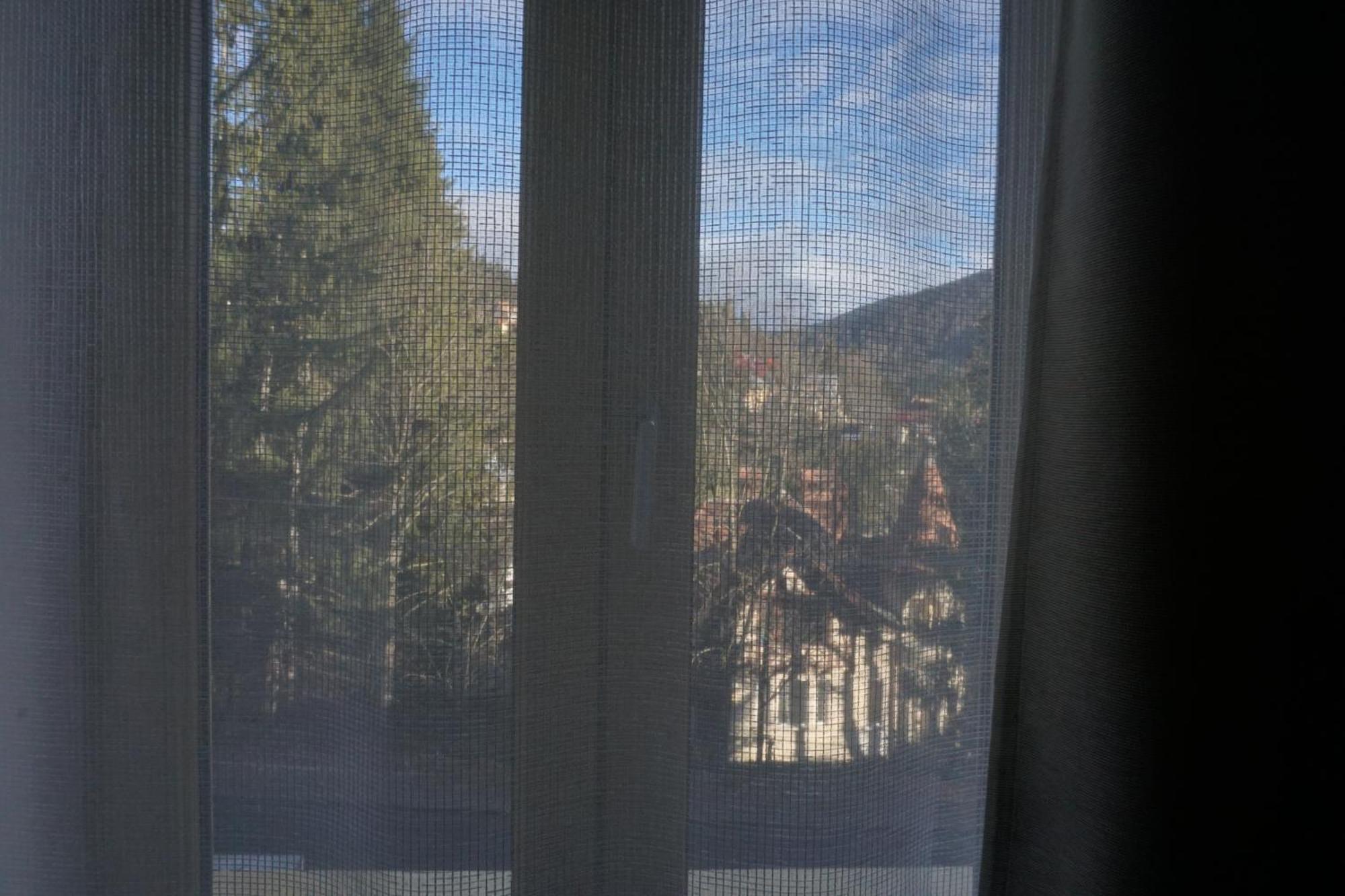 Vila Arizto Sinaia Room photo