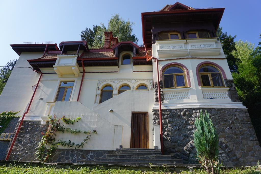 Vila Arizto Sinaia Exterior photo