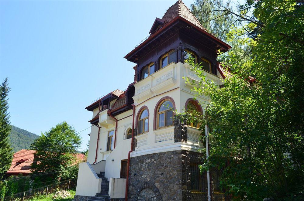 Vila Arizto Sinaia Exterior photo