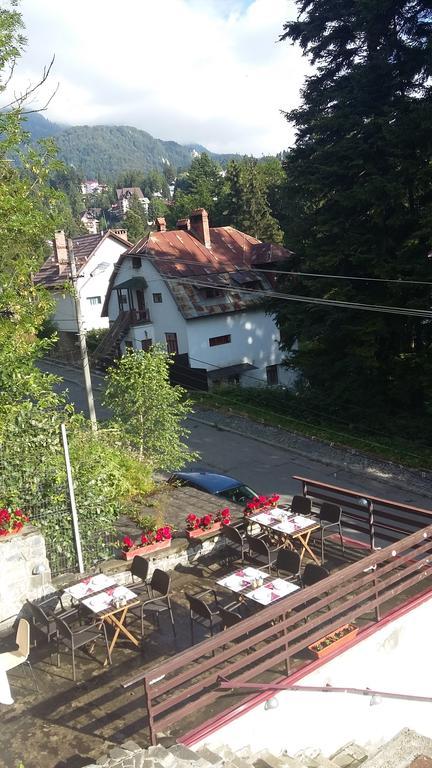 Vila Arizto Sinaia Exterior photo