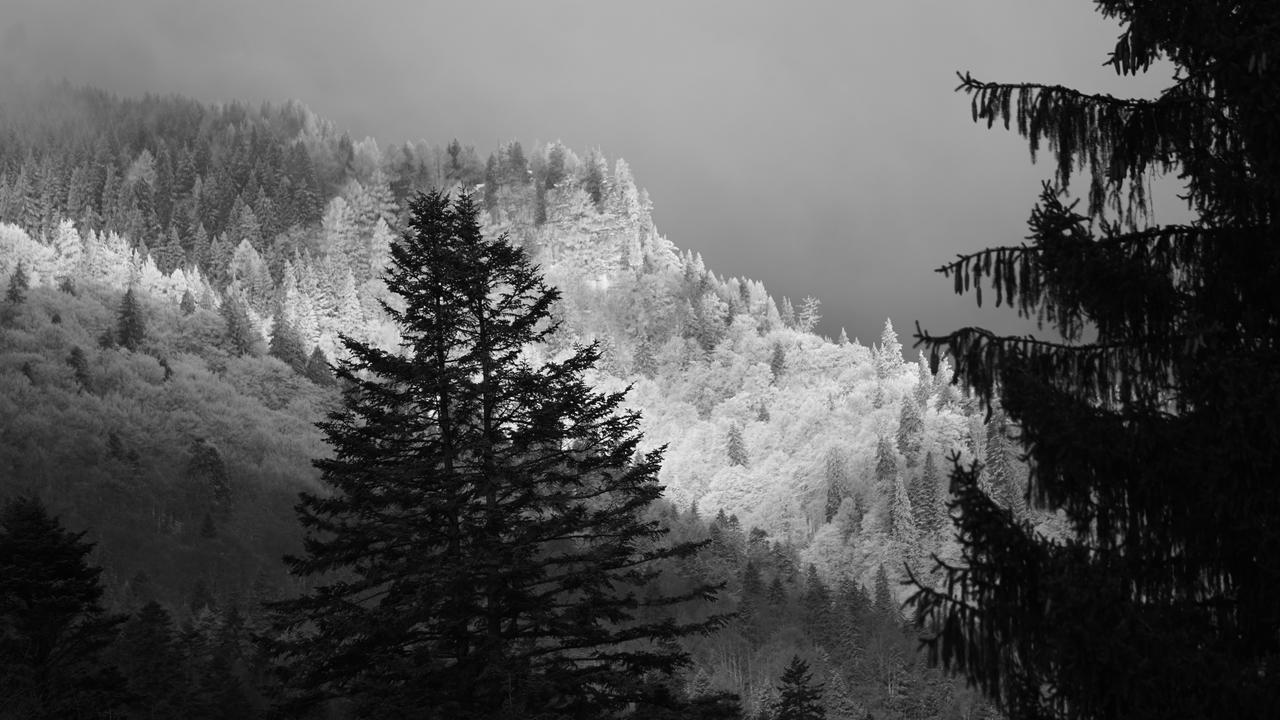 Vila Arizto Sinaia Exterior photo