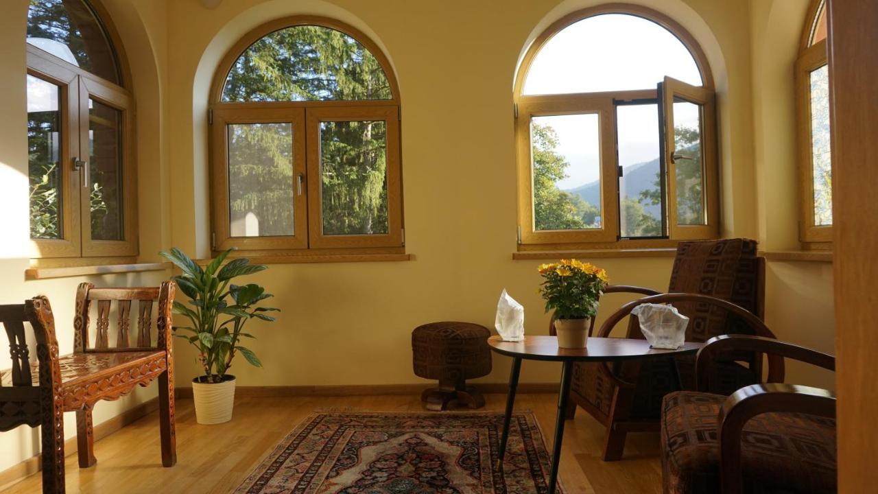 Vila Arizto Sinaia Exterior photo
